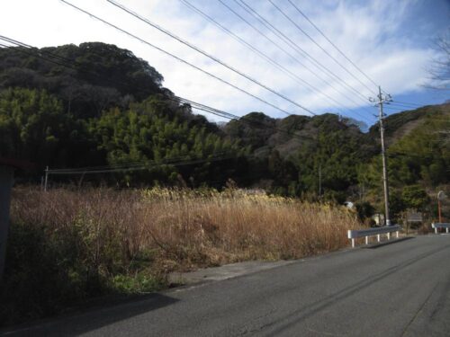 ＜南伊豆町青市＞敷地約299.47坪のゆとりある平坦地【売・土地】
